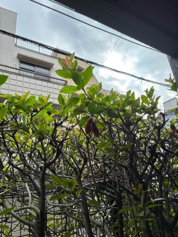ルーブル小石川弐番館の展望