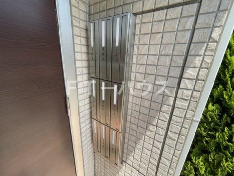 カメリアのその他