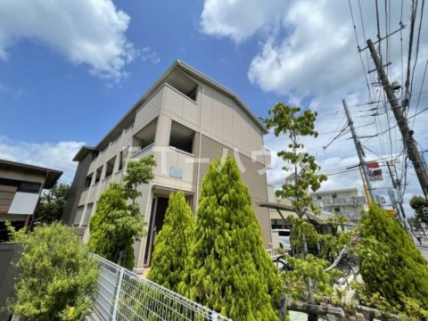 カメリアのその他