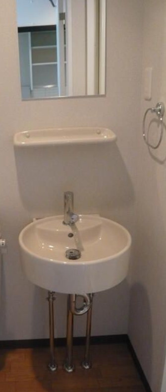 カラーブリアの洗面所