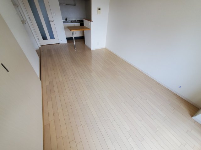 ダイワティアラ津田沼Ⅴの内装