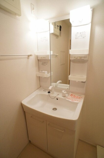 メゾンシュクレⅡの洗面所