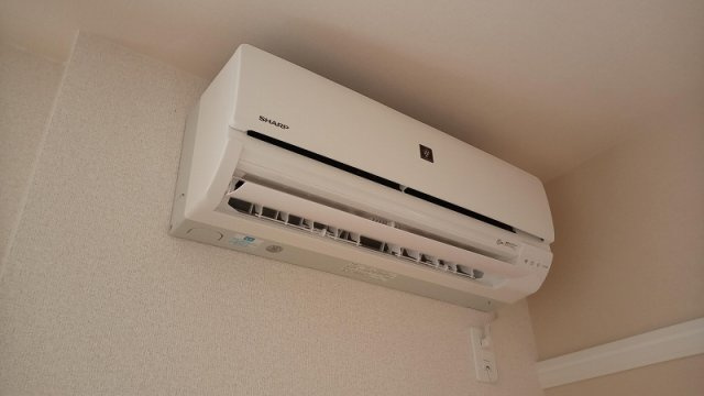 クレイノシャルムのその他