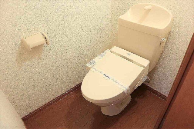 レオパレステリオスのその他