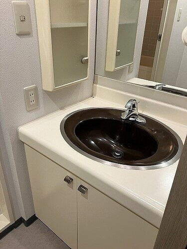 ライオンズステーションプラザ琴似の洗面所
