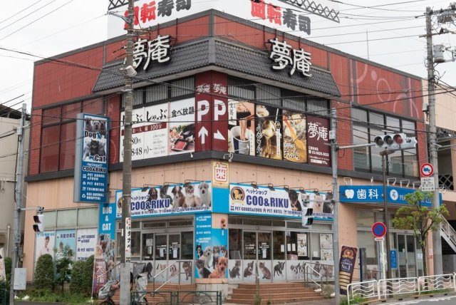 メゾン・ド・ヴィレ住吉の周辺