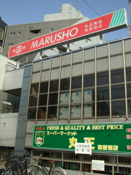 ステージファースト東新宿の周辺|ショッピングセンター丸正総本店東新宿店 264m