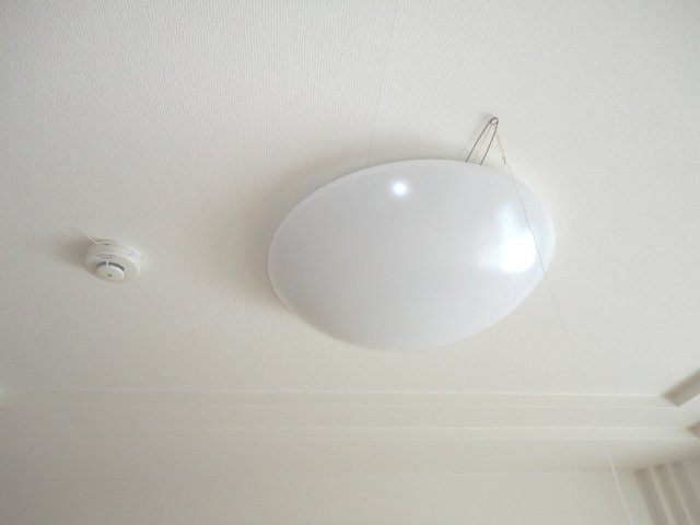 グレイシャスのその他|照明器具（イメージ）