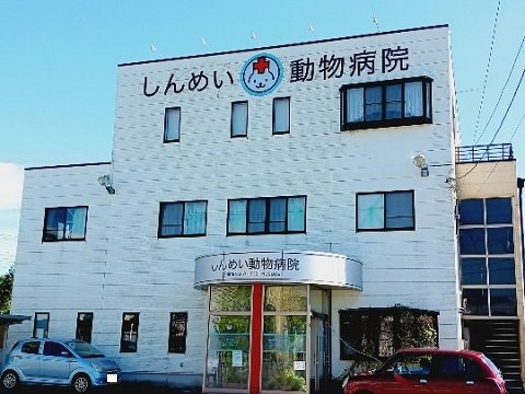 ピース・有沢の周辺|しんめい動物病院まで550m
