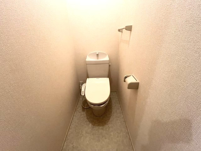 ウェルフラットのトイレ|イメージとして同建物他部屋を表示しています