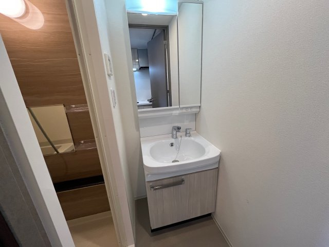 プレサンス東小橋エレディータの洗面所