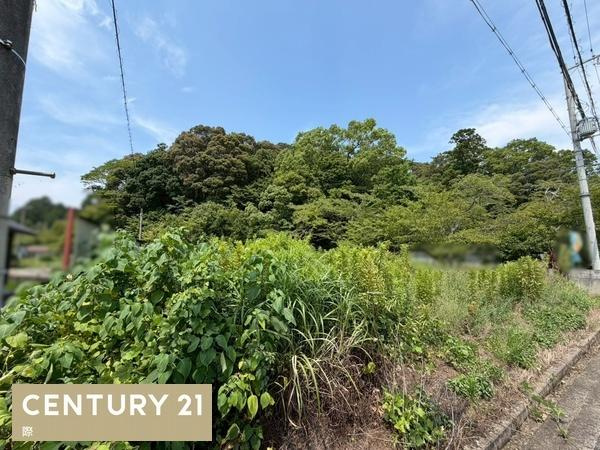 海南市小野田　土地のその他