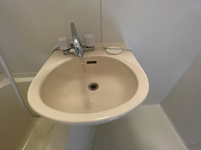 ＣＡＳＡＲＯＳＥＨＩＬＬの洗面所