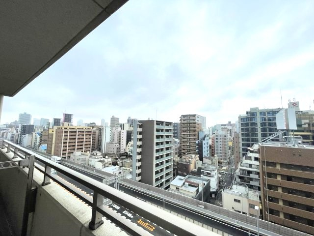フェニックス日本橋高津の展望