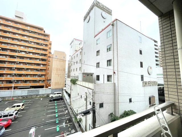 フェニックス日本橋高津の展望