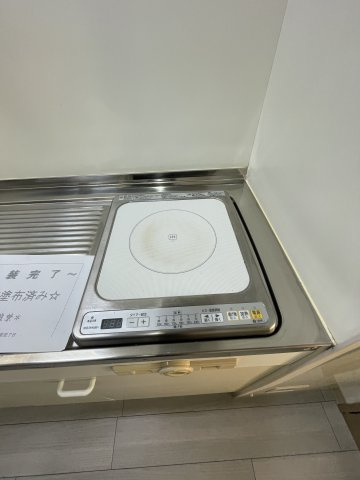 リバーイーストクレムリンのキッチン|同マンション反転タイプの間取り写真