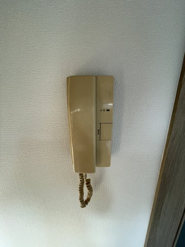 リバーイーストクレムリンのセキュリティ