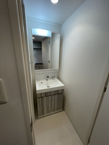 S-RESIDENCE江坂Eminenceの洗面所
