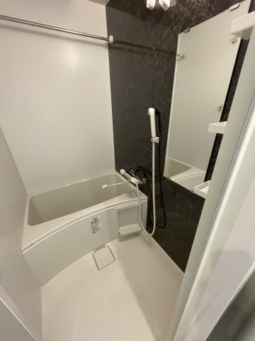S-RESIDENCE江坂Eminenceの浴室