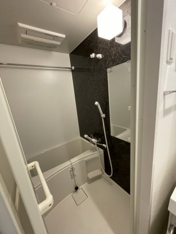 S-RESIDENCE江坂Eminenceの浴室