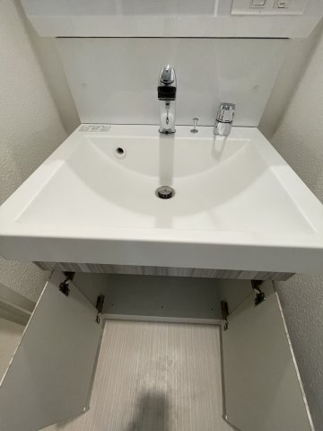 S-RESIDENCE江坂Eminenceの独立洗面台