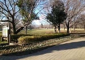 エクセランＡの周辺|青葉の森公園まで730m