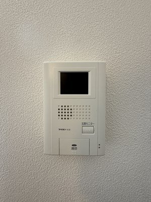 レオパレスアルファードのその他
