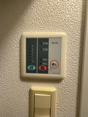 レオパレスアルファードのその他