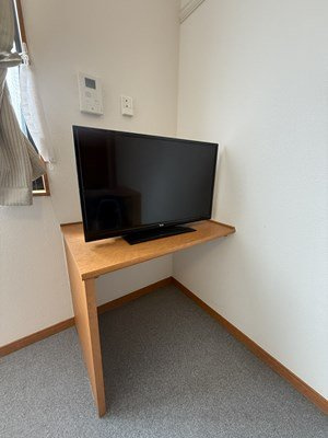 レオパレスアルファードのその他