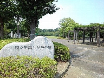 スルヤＢの周辺|間々田美しが丘公園まで600m