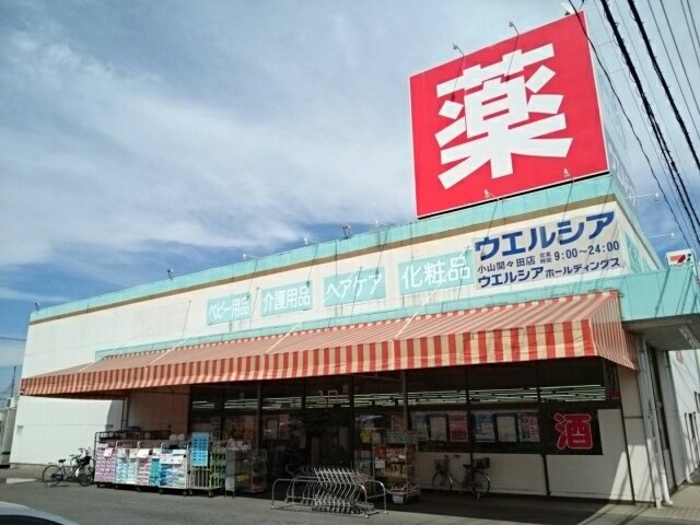 サンゴールド　ミズホＡの周辺|ウエルシア小山間々田店まで850m