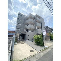 Mカームネスの画像