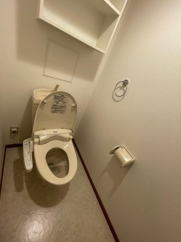 緑の家のトイレ