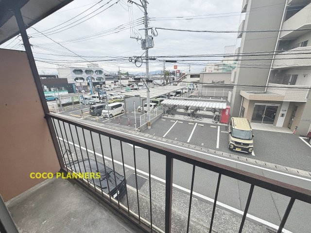 MS楠の展望