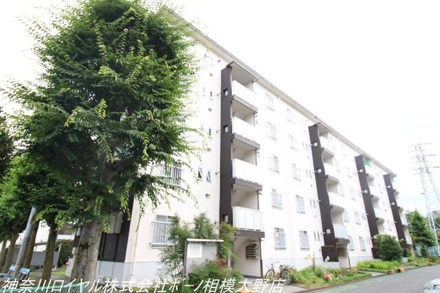 相武台第1　1102号棟の画像