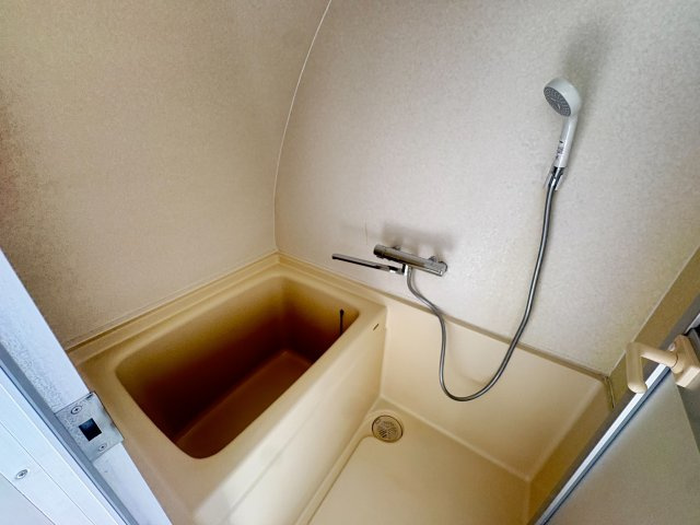 アブシンベルの浴室