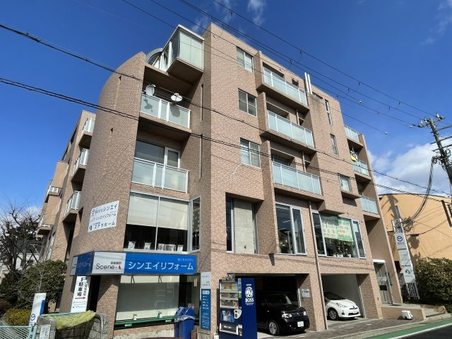 アブシンベルの外観