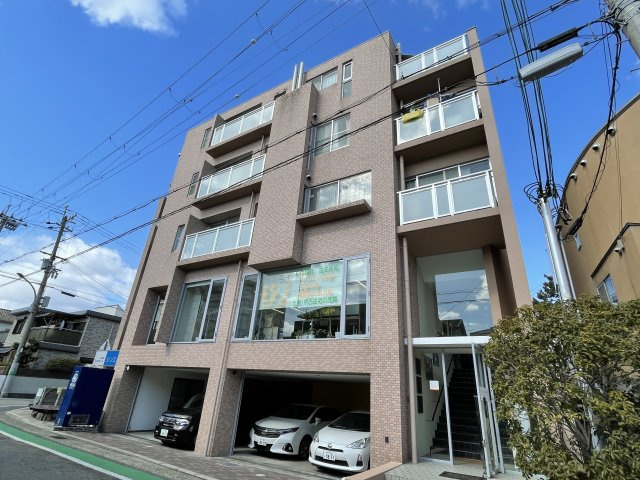 アブシンベルの外観