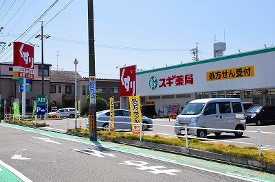アルテミスの周辺|スギ薬局　北内店まで450m