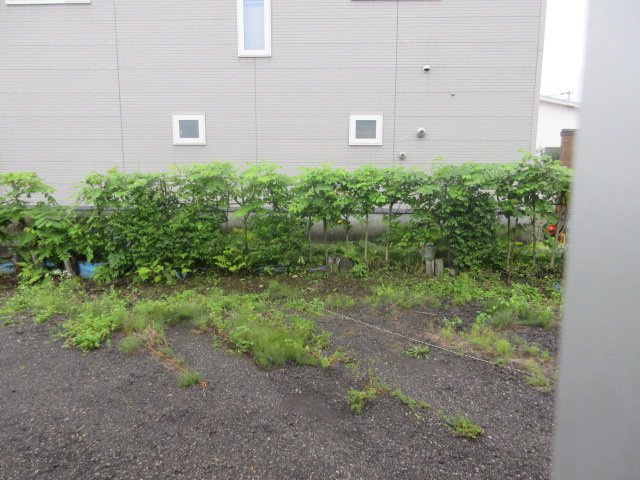 マルイマンションの展望