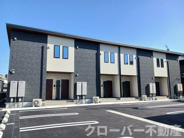 桔梗（ききょう）Ｂ