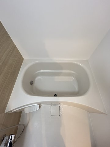 大阪市中央区谷町７丁目の賃貸マンションの浴室