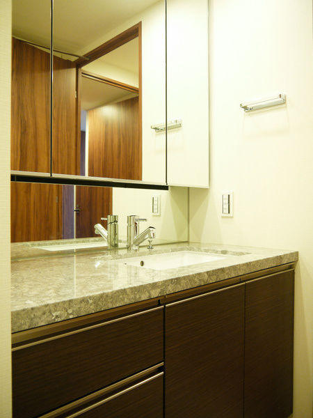 ザ・パークハウス西新宿タワー60の洗面所|脱衣スペースもあります
