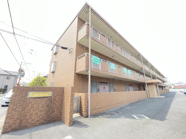 モアルヤタ藤