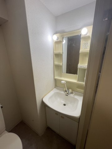 トシヤマンションの洗面所