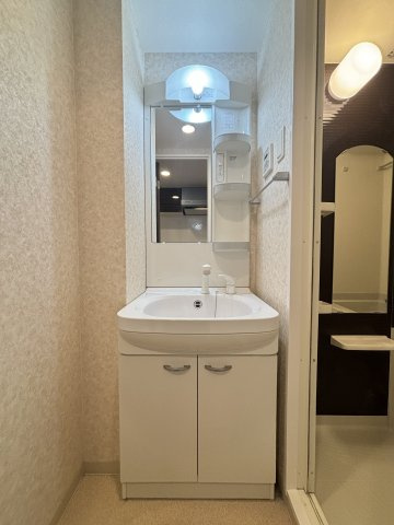 Luxe難波西Ⅲの洗面所