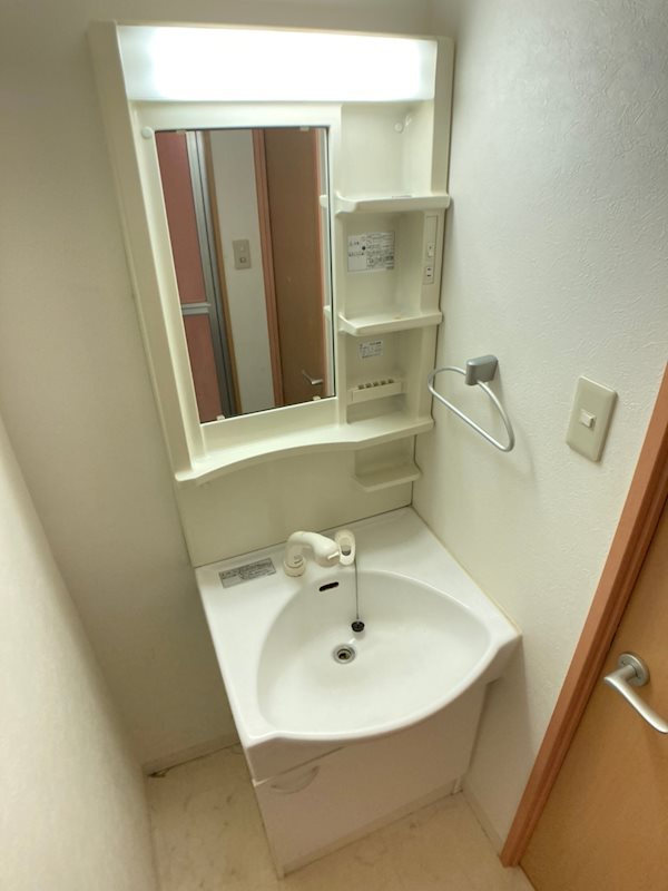 グランパシフィック難波南の洗面所