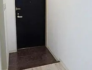 横浜市中区山元町１丁目の賃貸マンションの玄関