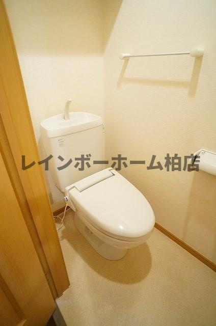 【仲介手数料：50％OFF】対象物件！のトイレ|トイレも気になるポイント