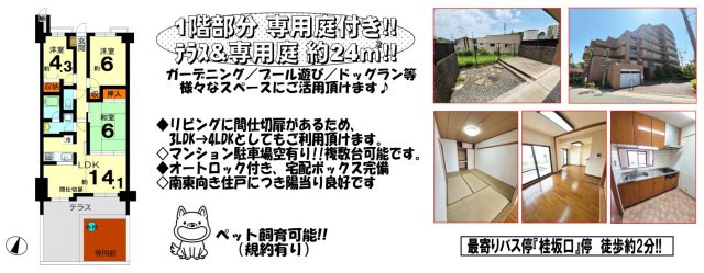 藤和ライブタウン洛西の間取り